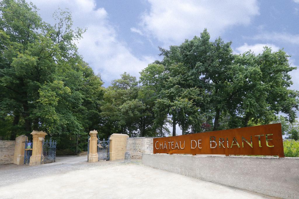 Chateau De Briante Saint-Lager Экстерьер фото